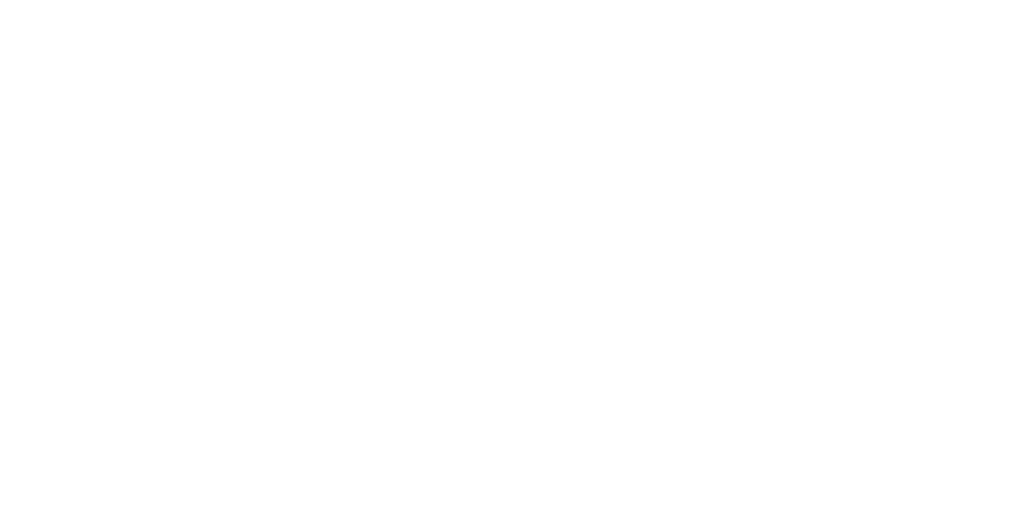 Skye private aviation